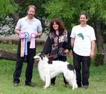 Nobble - BISS 2005