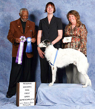 Reserve Winners Dog